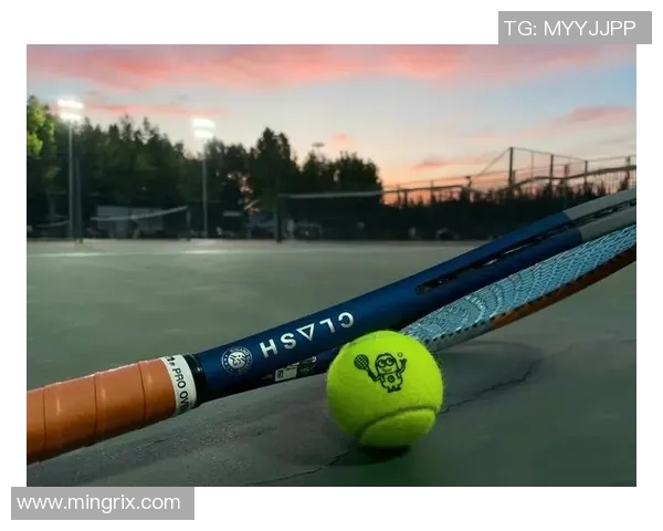 科学网球:提升个人技能的全面训练策略与方法探讨 科学网球:提升个人技能的全面训练策略与方法探讨